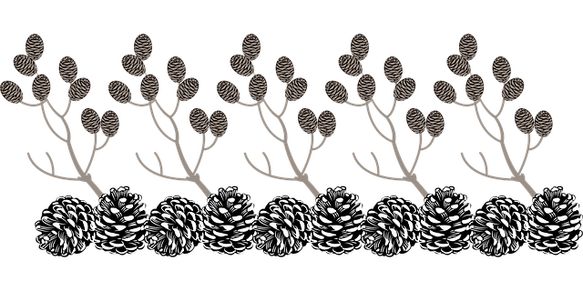 Free christmas cones pine cones illustration
