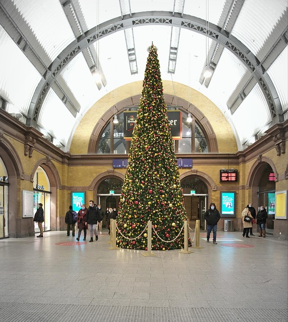 Free Tree Christmas Tree photo and picture