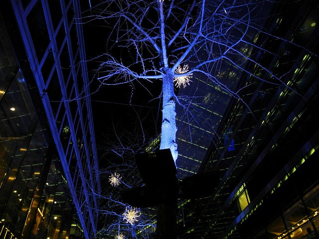Free Berlin Winter photo and picture