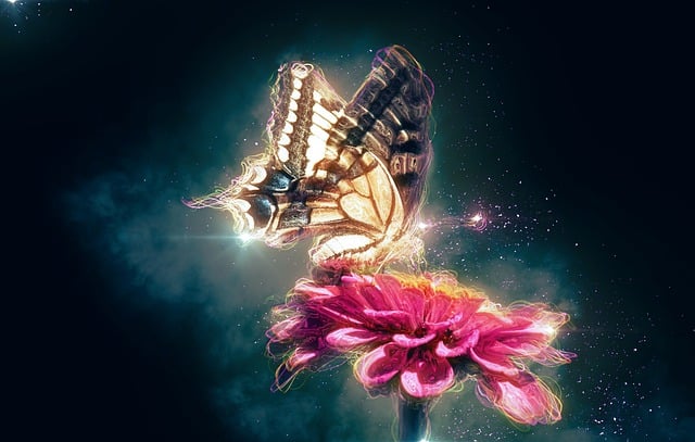 Download free HD stock image of Butterfly Insect Free butterfly insect flower illustration