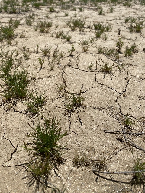 Free Desert Arid photo and picture