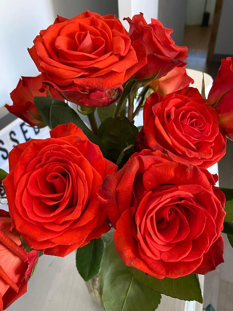 Free Roses Bouquet photo and picture