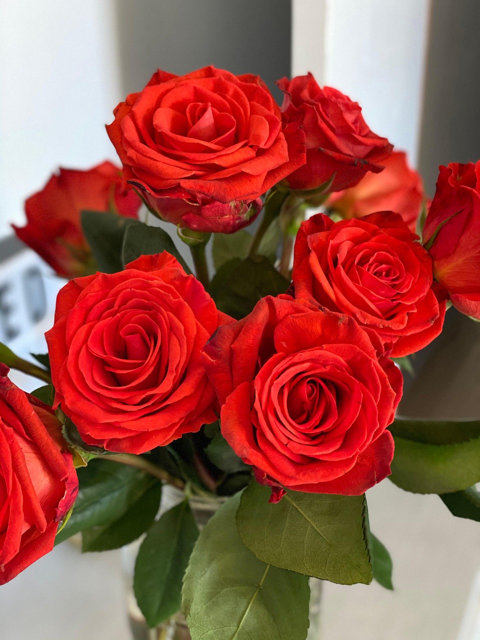 59 Roses 60,000+ Free Bunch Of Roses & Rose Images - Pixabay