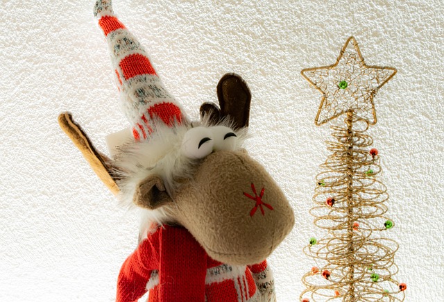 Free Xmas December photo and picture
