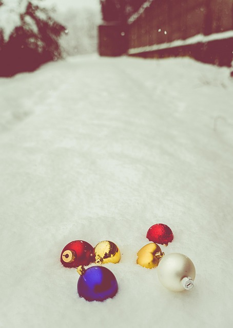 Free December Snow photo and picture