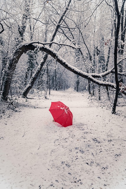 Free Snow Umbrella photo and picture