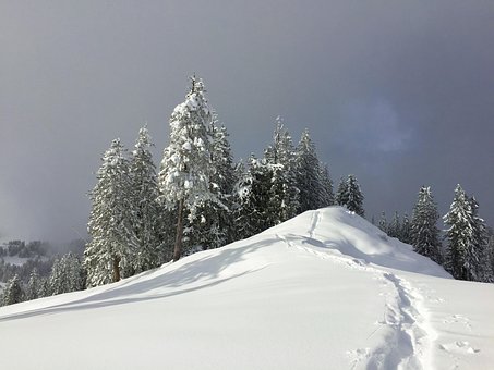 Free Snow Landscape photo and picture