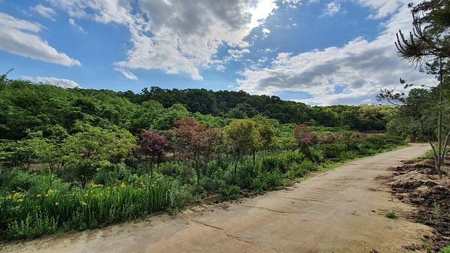 Free Nature Sky photo and picture