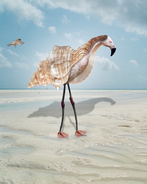 Tutorials, Flamingo, Hülse