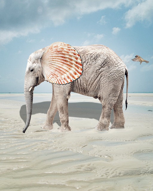 Tutorials, Elefant, Tiere, Afrika