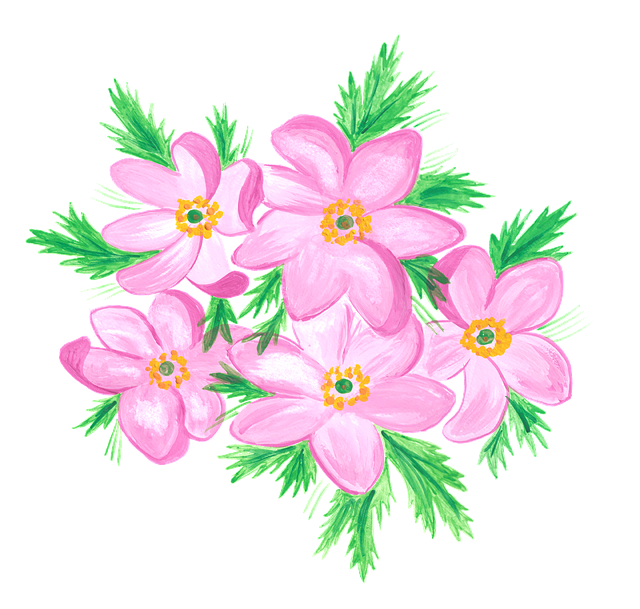 Anemone, Lyserøde Blomster, Blomster