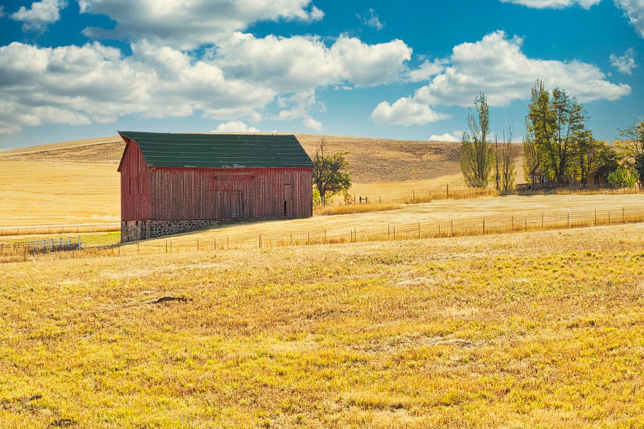 Barn - free online jigsaw puzzle photo
