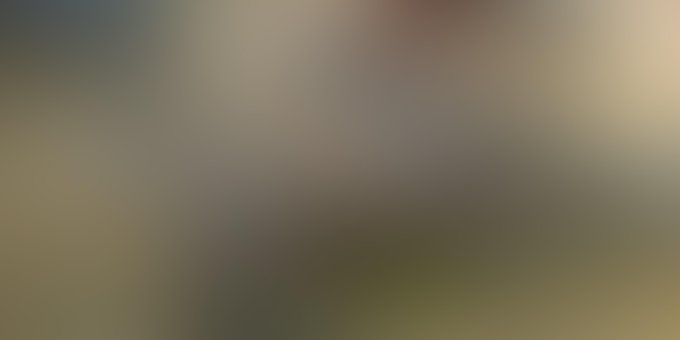 Free Decoration Gradient photo and picture
