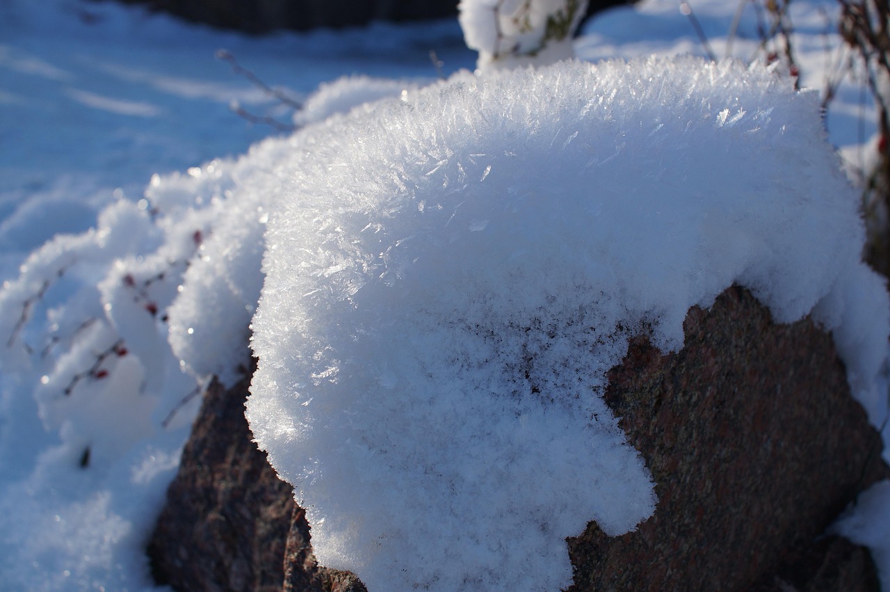 雪 冬 - Pixabayの無料写真 - Pixabay