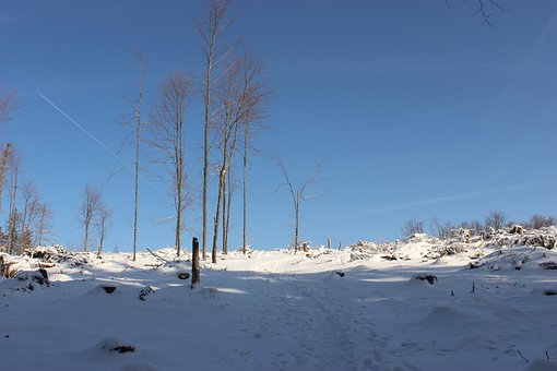 Free Winter Snow photo and picture