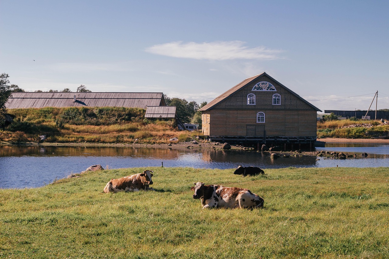 Solovki - free online jigsaw puzzle photo