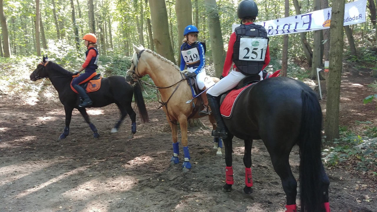 Pferde Reiter Reiten - Kostenloses Foto auf Pixabay - Pixabay
