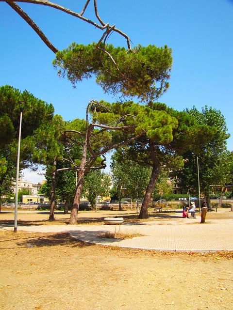 Free Boulevard Nature illustration and picture