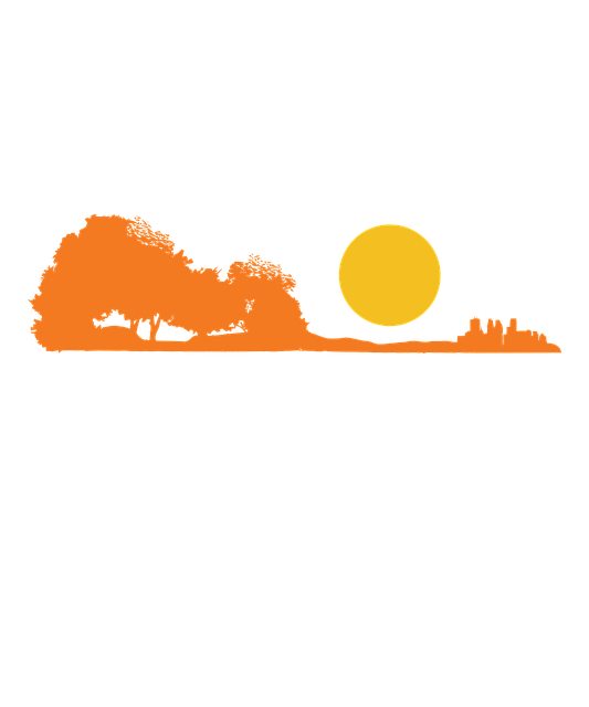 Free Guitar Sun illustration and picture