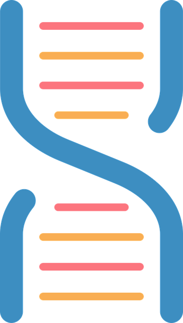 Dna, Wendel, Symbol, Wissenschaftlich