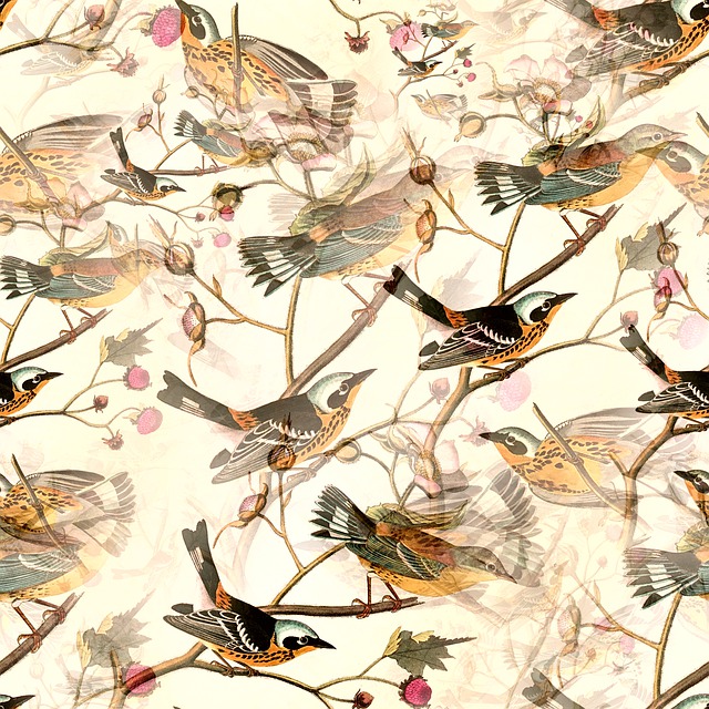 Vögel, Thront Vögel, Muster, Design