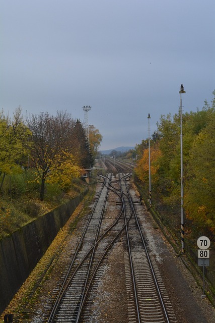 Free Train Tracks photo and picture