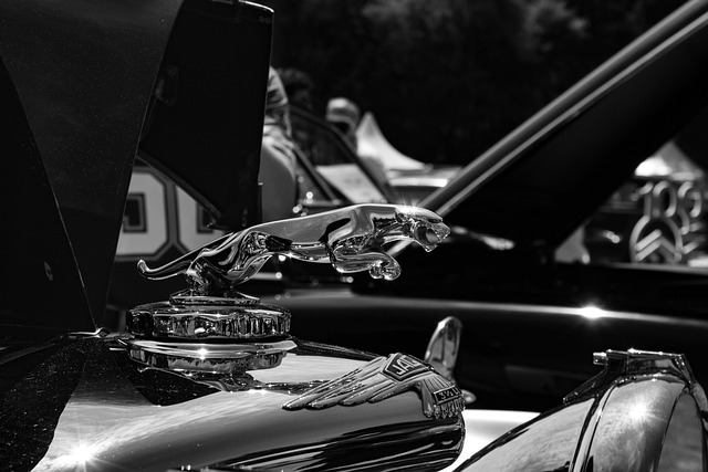 Free Jaguar Car photo and picture