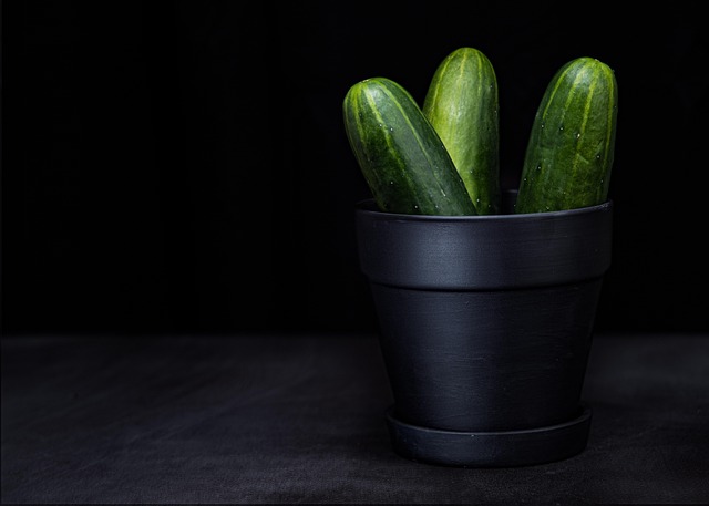 Free Cucumbers Vegetables photo and picture