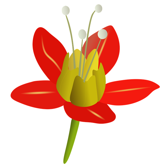 Free flower petals stem illustration