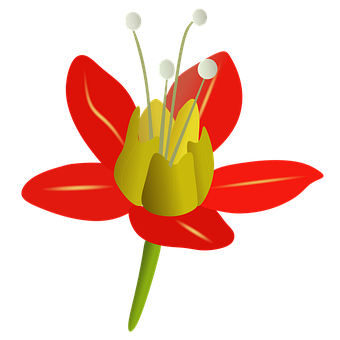 Free Flower Petals illustration and picture
