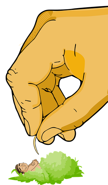 Free Hand Rib vector and picture