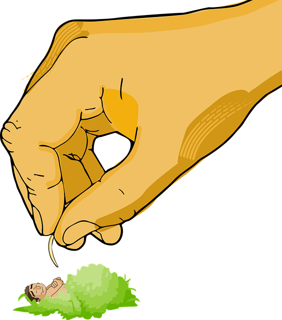 Free Hand Rib vector and picture