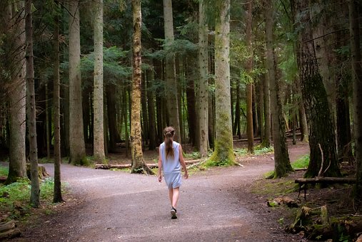Free Girl Forest photo and picture