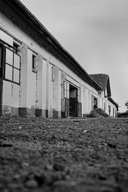 Testing, Scheune, Stände, Bauernhof