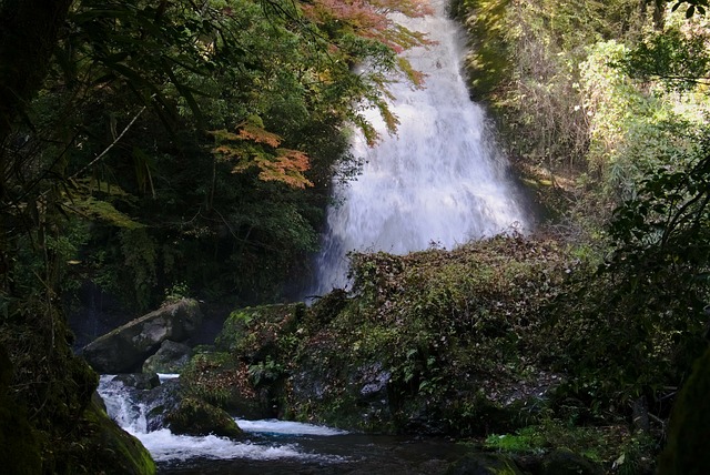 Free Waterfall River photo and picture