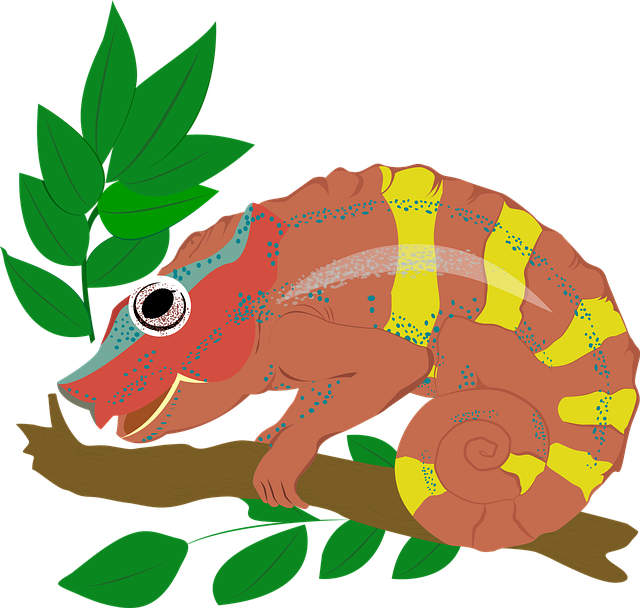 Free animal chameleon icon illustration