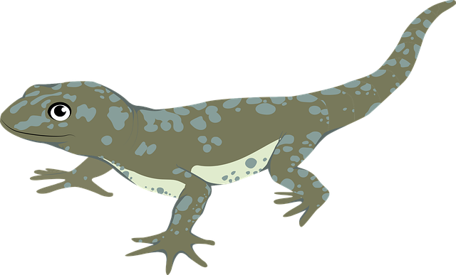 Free animal lizard fox vector