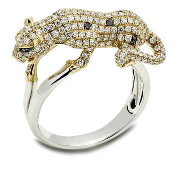 Ring, Schmuck, Ringe, Diamant, Frau