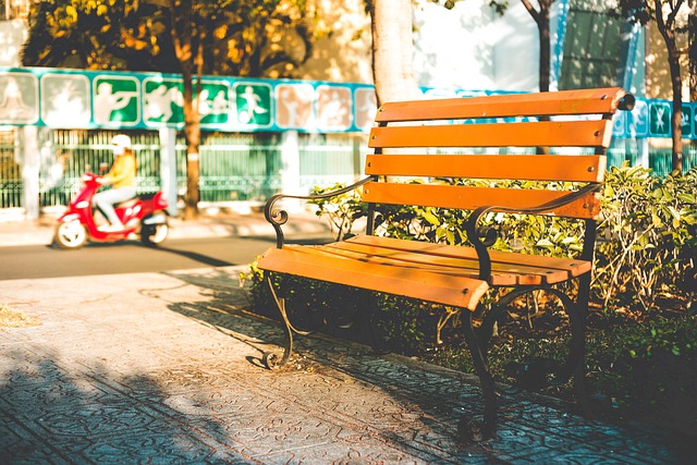Parque, Pôr Do Sol, Abstract