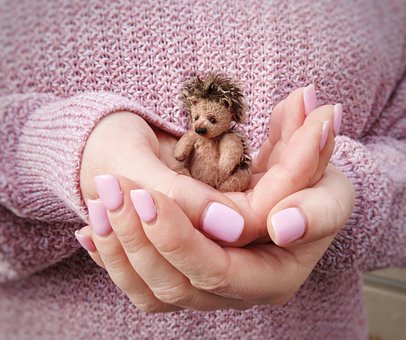 Spielzeug, Teddy, Der Igel, Hände