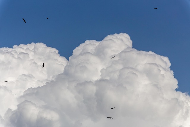 Free Clouds Birds photo and picture