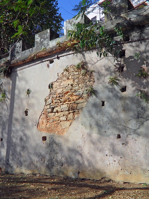 Free Wall Historic photo and picture