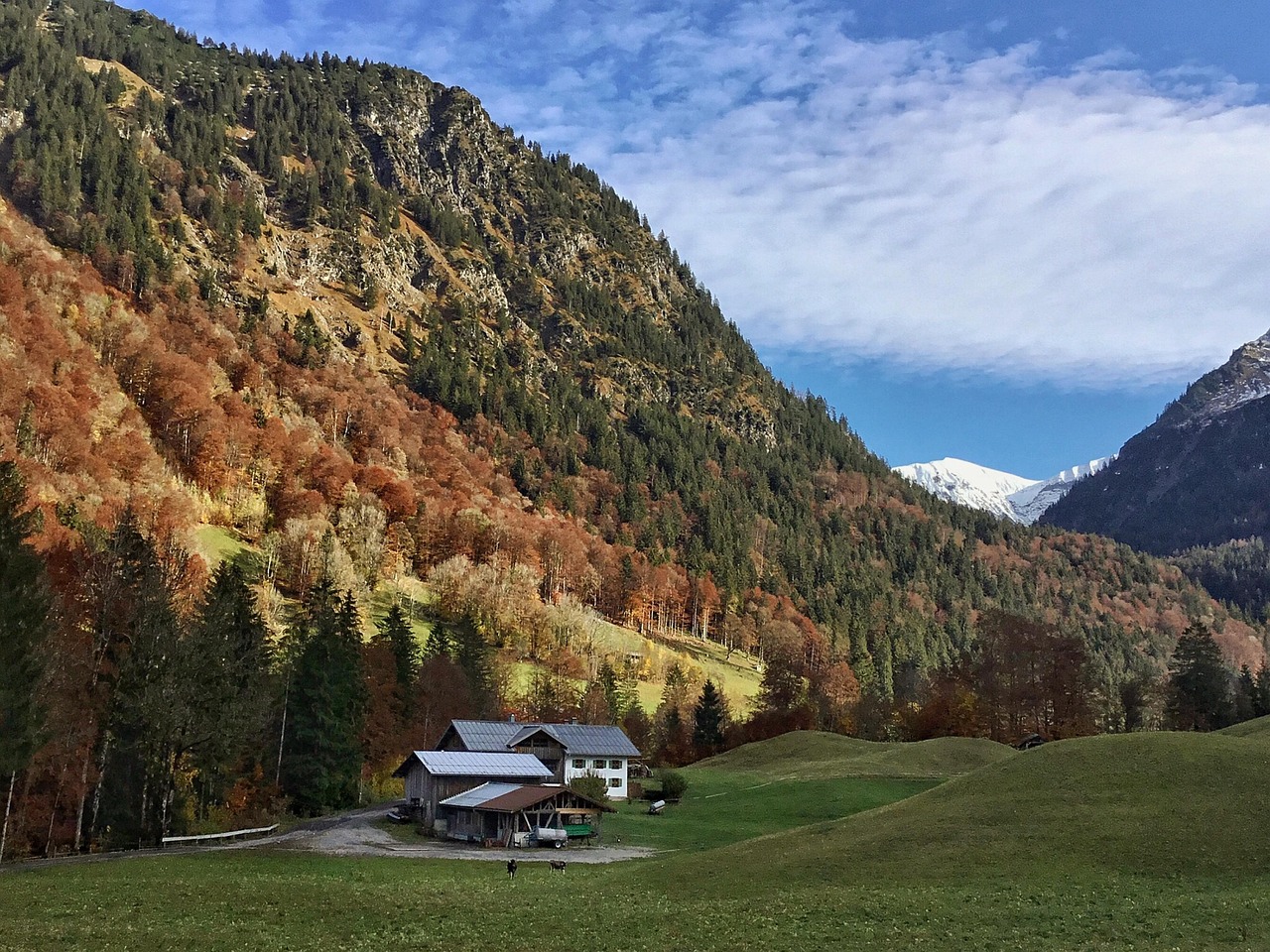 Autumn - free online jigsaw puzzle photo