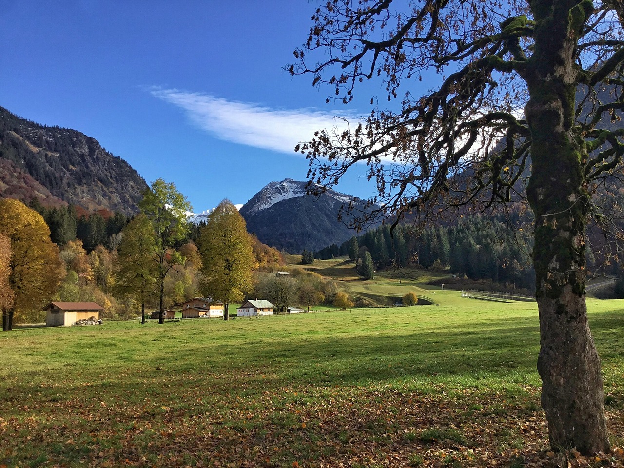 Autumn - free online jigsaw puzzle photo