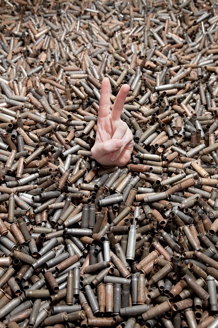Free Bullets Surrender photo and picture