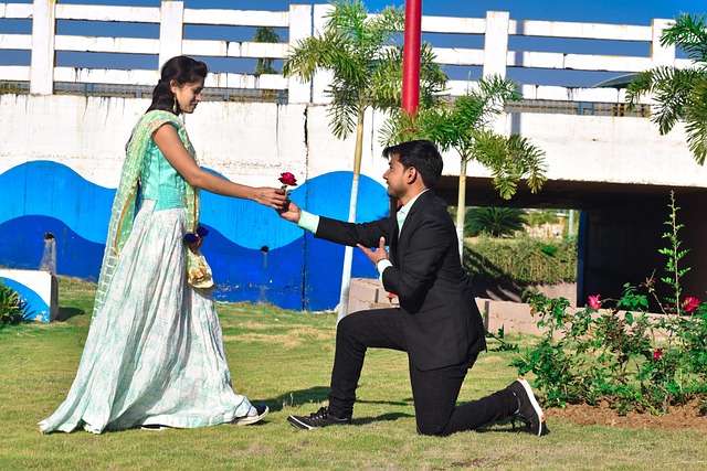 Free Rose Propose photo and picture