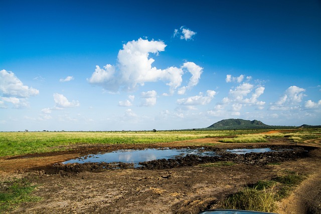 Steppe, Teich, Wiese, Wildnis, Tsavo Ost