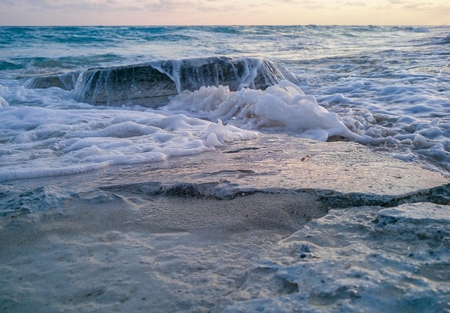 Free Beach Sea photo and picture