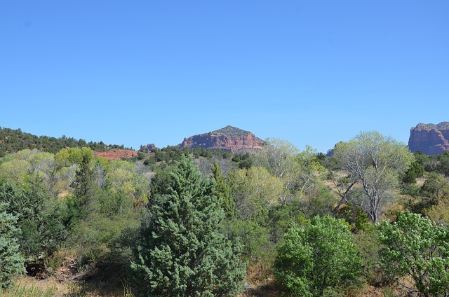 Free Arizona Desert photo and picture