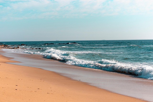 Free Sea Ocean photo and picture